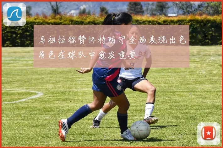 马祖拉称赞怀特防守全面表现出色角色在球队中愈发重要